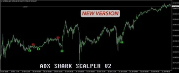 2.webp