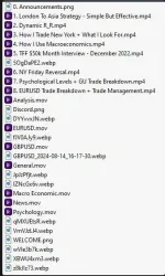 1.webp