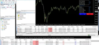 1741956893530.webp