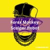 Forex-Monkey-Scalper-Robot.jpg