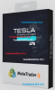 tesla_ea_passing_software_lite_-min-768x1256.png