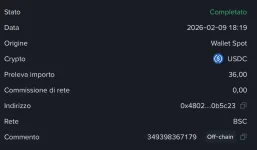 Screenshot 2026-02-09 alle 18.30.46.webp