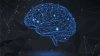 Neuroplasticity 2.0 Modern Neuroscience To Rewire Your Brain.jpg