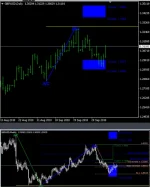 1.webp