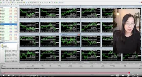 StrategyQuant X profitable strategies + Master SQX in 7 Days by Lisa Forex