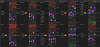 Forex Dynamic Fibonacci Grid System.png