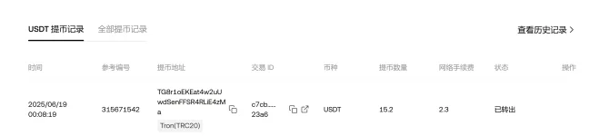 1750263019973.webp