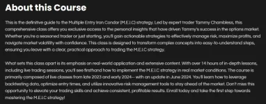 M.E.I.C Options Course