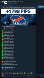 Bild1.webp Bild1.webp